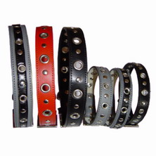 Pet Collars